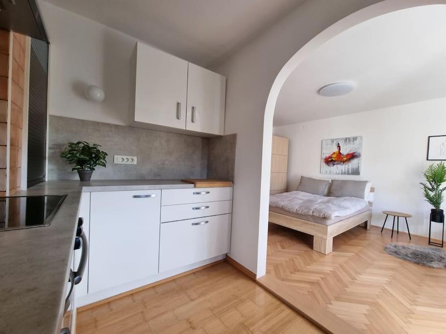 The Rowhouse Apartment Ljubljana - Free Parking Luaran gambar