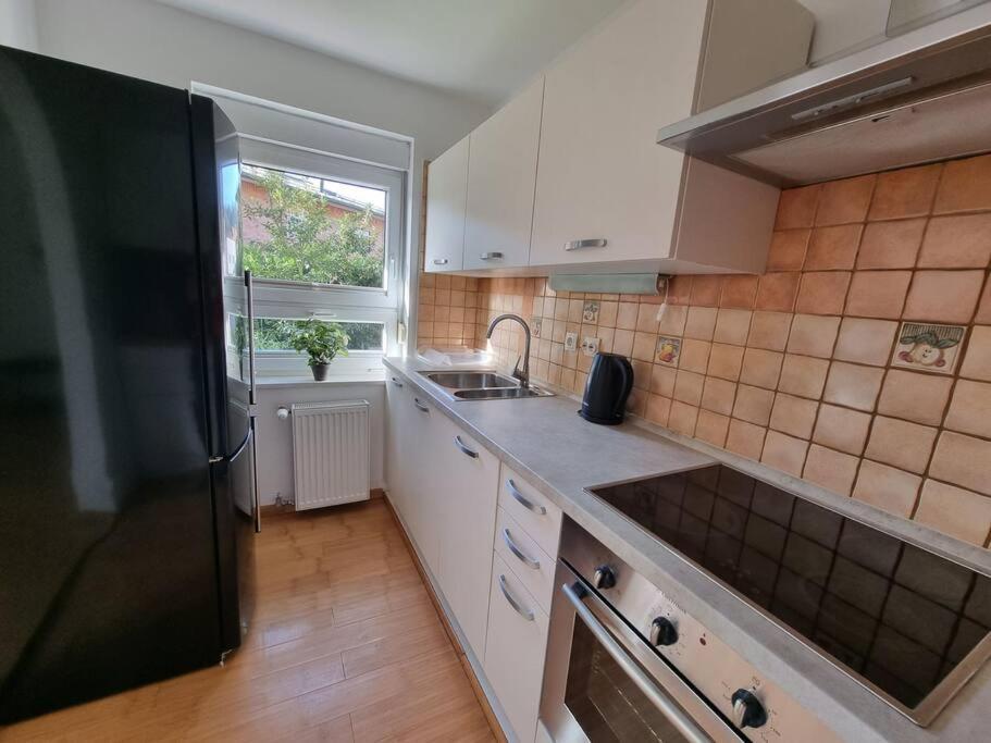 The Rowhouse Apartment Ljubljana - Free Parking Luaran gambar